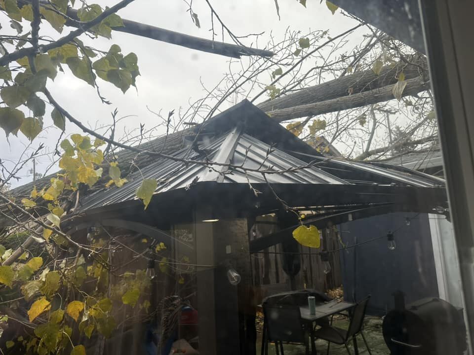 Tree damage